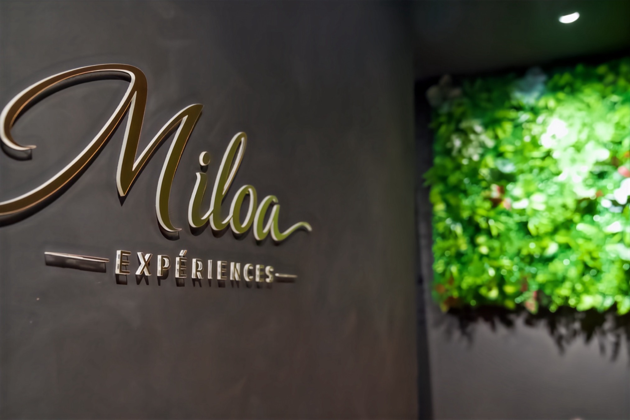 Detail of the Miloa sign with the living wall in the background